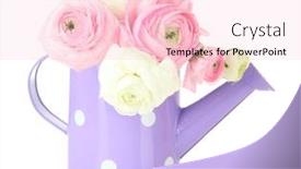  Presentation with persian - Amazing PPT layouts having ranunculus-persian-buttercups-in-watering backdrop and a lemonade colored foreground