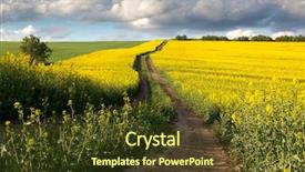  Presentation with beautiful flowers border floral design - Amazing PPT theme having rape - ground road in flowering field backdrop and a tawny brown colored foreground