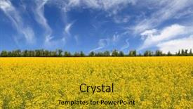  Presentation with precision farming - Slide set having rape farming field under nice background and a gold colored foreground