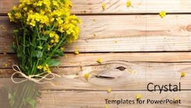  Presentation with flower - Audience pleasing slides consisting of rape flower on wooden table backdrop and a coral colored foreground