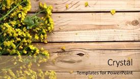  Presentation with flower - Amazing theme having rape flower on wooden table backdrop and a coral colored foreground