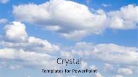  Presentation with rapeseed - 