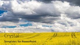  Presentation with rapeseed - Cool new slide deck with rapeseed-field-in-central-bohemia backdrop and a gold colored foreground