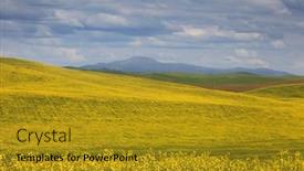  Presentation with rapeseed - Beautiful PPT layouts featuring rapeseed-fields-in-palouse-washington backdrop and a gold colored foreground