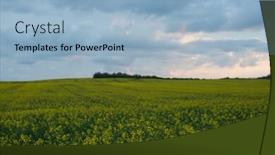 Presentation with rapeseed - Slide deck having rapeseed-filed-at-sunset background and a light blue colored foreground