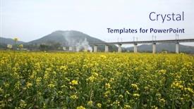  Presentation with rapeseed - Slide deck featuring rapeseed-flowers-and-railway-bridge background and a sky blue colored foreground