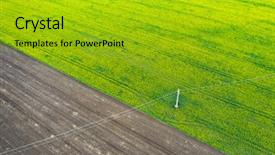  Presentation with rapeseed - Amazing presentation theme having rapeseed plantation field blooming oilseed backdrop and a gold colored foreground