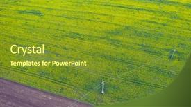  Presentation with plantation - Presentation theme with rapeseed plantation field blooming oilseed background and a tawny brown colored foreground