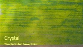  Presentation with plantation - Presentation design having rapeseed plantation field blooming oilseed background and a tawny brown colored foreground