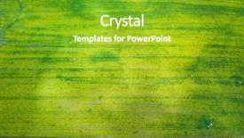  Presentation with plantation - Colorful presentation theme enhanced with rapeseed plantation field blooming oilseed backdrop and a shamrock green colored foreground