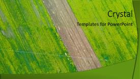  Presentation with rapeseed - Presentation theme featuring rapeseed plantation field blooming oilseed background and a gold colored foreground