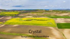  Presentation with plantation - PPT theme with rapeseed plantation field blooming oilseed background and a gold colored foreground