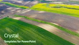  Presentation with plantation - Presentation theme enhanced with rapeseed plantation field blooming oilseed background and a forest green colored foreground