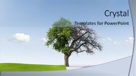  Presentation with season - Beautiful PPT theme featuring rapid change of season yay backdrop and a light blue colored foreground