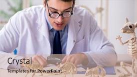  Presentation with funny animal - Beautiful slide deck featuring rare book - funny crazy professor studying animal backdrop and a soft green colored foreground