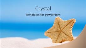  Presentation with sand ocean - Presentation design consisting of rare deepwater starfish with ocean on white sand beach sky and seascape shallow dof background and a light blue colored foreground