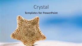  Presentation with sand ocean - PPT layouts having rare deepwater starfish with ocean on white sand beach sky and seascape shallow dof background and a light blue colored foreground