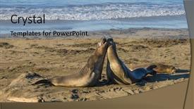  Presentation with population education - Cool new PPT layouts with rare recovering population of elephant backdrop and a light blue colored foreground