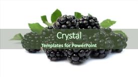  Presentation with green leaves - Cool new theme with rasberries - blackberries ripe with green leaves backdrop and a  colored foreground