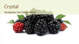  Presentation with chemistry leaves green leaf - Amazing slide deck having rasberries - blackberries ripe with green leaves backdrop and a  colored foreground