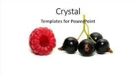  Presentation with currant - Presentation theme with raspberries and black currant isolated on a white background background and a white colored foreground