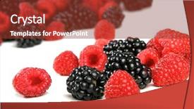  Presentation with white cells - PPT theme having raspberries-and-blackberries-on-white background and a tawny brown colored foreground