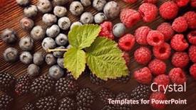  Presentation with blackberry - 