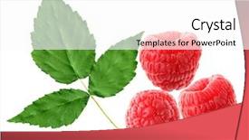  Presentation with background - PPT theme consisting of raspberries-and-leaf-isolated background and a white colored foreground