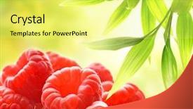  Presentation with abstract green - Presentation theme enhanced with raspberries over abstract green background background and a yellow colored foreground