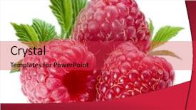  Presentation with fall leaves border white - Cool new presentation with raspberries with raspberry leaves isolated backdrop and a red colored foreground