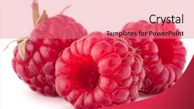  Presentation with background - PPT theme consisting of raspberry - ripe raspberries isolated on white background and a coral colored foreground