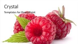  Presentation with ripe golden potato on white - Slide deck featuring raspberry - ripe raspberries isolated on white background and a white colored foreground