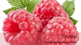  Presentation with perfect - Cool new presentation with raspberry - three perfect ripe raspberries backdrop and a red colored foreground