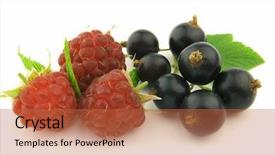  Presentation with blackcurrant - PPT theme consisting of raspberry and blackcurrant with leaves background and a red colored foreground