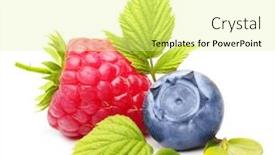  Presentation with blueberry - Theme with raspberry and blueberry isolated on white background background and a blonde colored foreground