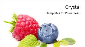  Presentation with blueberry - PPT layouts enhanced with raspberries blueberries - raspberry and blueberry isolated background and a white colored foreground