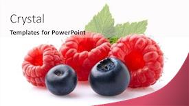  Presentation with blueberry - Amazing slide set having raspberry-and-blueberry-with-leaves backdrop and a white colored foreground