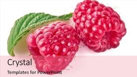  Presentation with green fresh food - Amazing PPT theme having raspberry berries with green leaf backdrop and a coral colored foreground