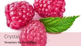  Presentation with green fresh food - Theme enhanced with raspberry berries with green leaf healthy food fresh fruit isolated on white background background and a coral colored foreground