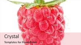  Presentation with water rain drop hanging on a fresh green leaf - Amazing PPT theme having raspberry berry with green leaf isolated on white background backdrop and a red colored foreground