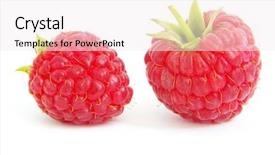  Presentation with monarch butterfly isolated on white - PPT layouts consisting of fresh berry - raspberry closeup isolated on white background and a sky blue colored foreground