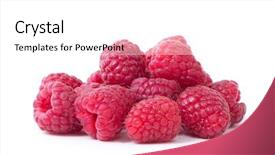  Presentation with octopus on isolated white - Audience pleasing slide deck consisting of raspberry isolated raspberry on white backdrop and a white colored foreground