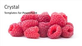  Presentation with scroll paper isolated on white - PPT theme with raspberry isolated raspberry on white background and a white colored foreground