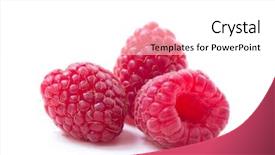 Presentation with white - Amazing PPT layouts having raspberry isolated raspberry on white backdrop and a white colored foreground