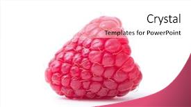  Presentation with blank whiteboard isolated on white - Audience pleasing slide deck consisting of raspberry isolated raspberry on white backdrop and a white colored foreground