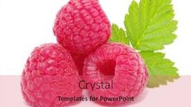  Presentation with frozen foods raspberry blueberry cranberry - Colorful PPT layouts enhanced with raspberry-on-a-white-background backdrop and a coral colored foreground
