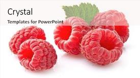  Presentation with frozen foods raspberry blueberry cranberry - Amazing PPT theme having raspberry on a white background backdrop and a sky blue colored foreground