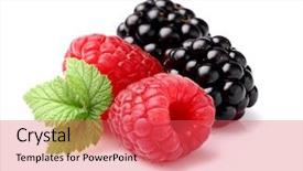  Presentation with blackberry - Slide deck enhanced with raspberry with blackberry background and a red colored foreground