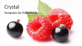  Presentation with blackcurrant - Presentation consisting of raspberry with blackcurrant in closeup background and a white colored foreground