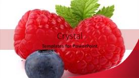  Presentation with blueberry - Slides featuring raspberry-with-blueberry background and a crimson colored foreground